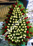 coroana